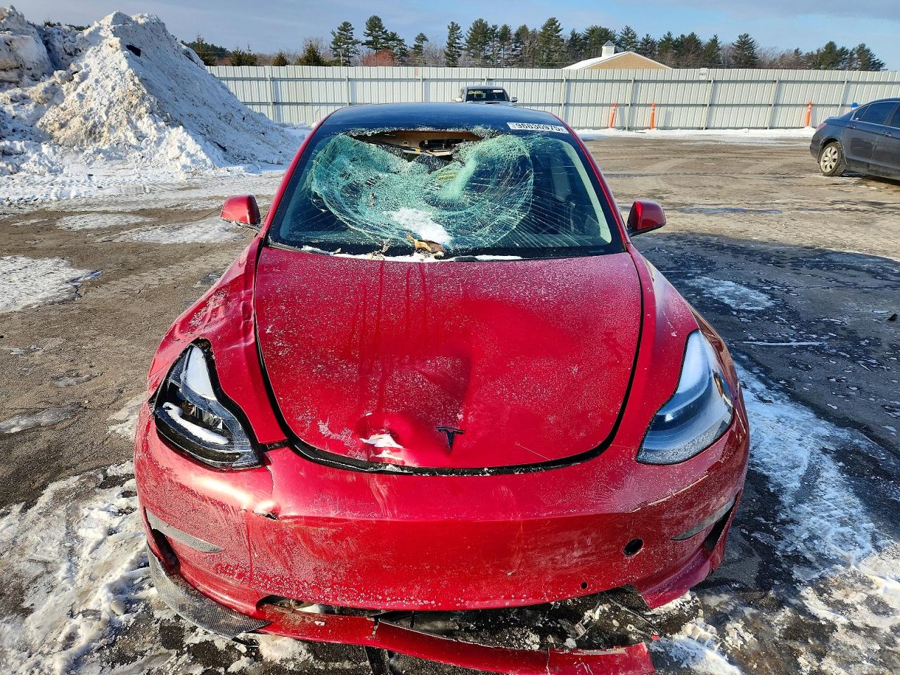 2019 TESLA MODEL 3 photo 13