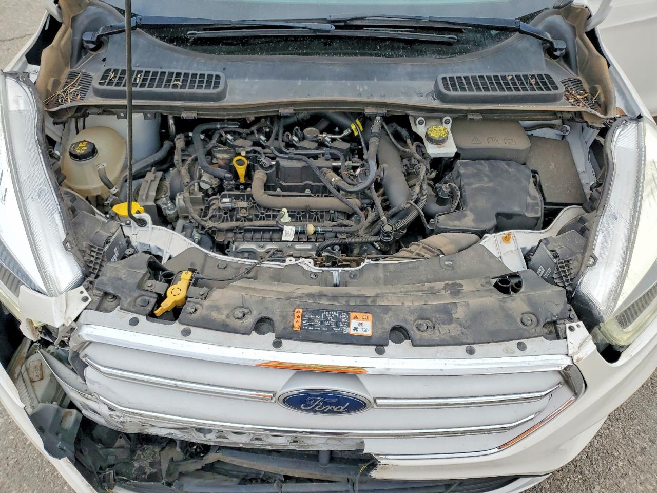 2019 FORD ESCAPE SEL photo 12