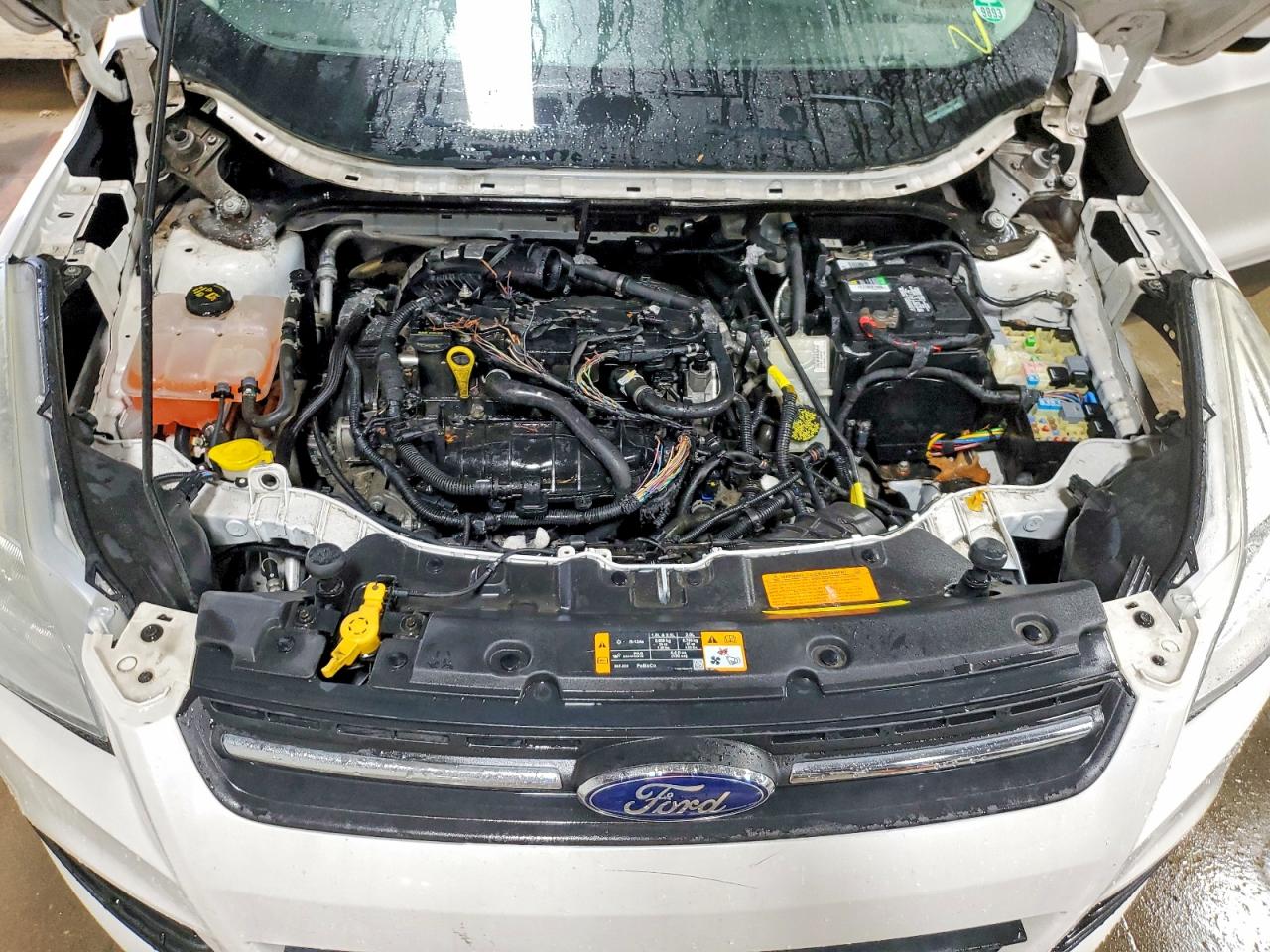 2014 FORD ESCAPE SE photo 11