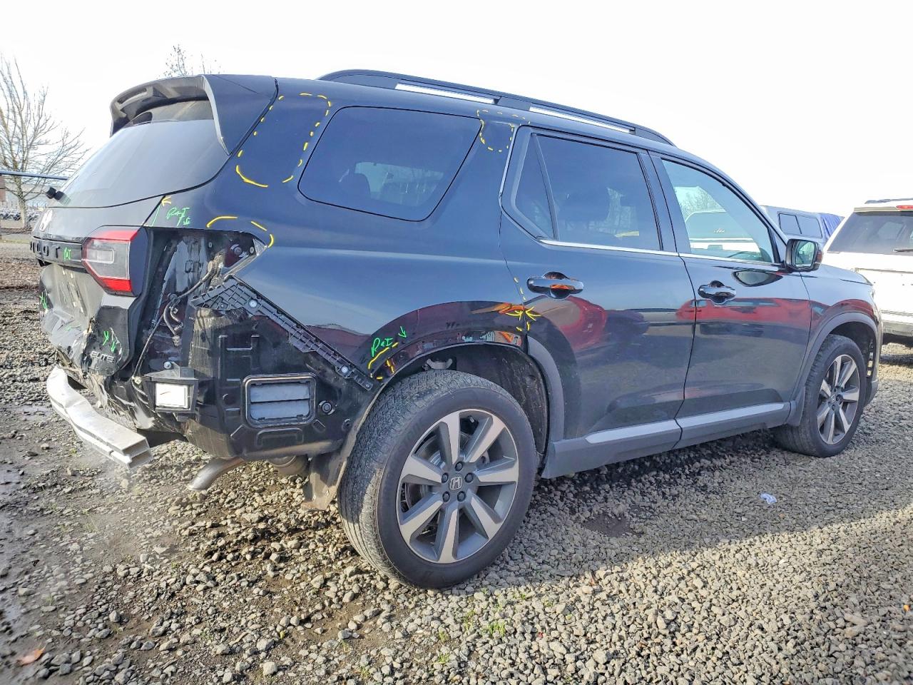 2025 HONDA PILOT ELITE photo 3
