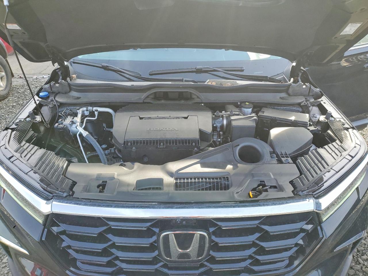 2025 HONDA PILOT ELITE photo 12