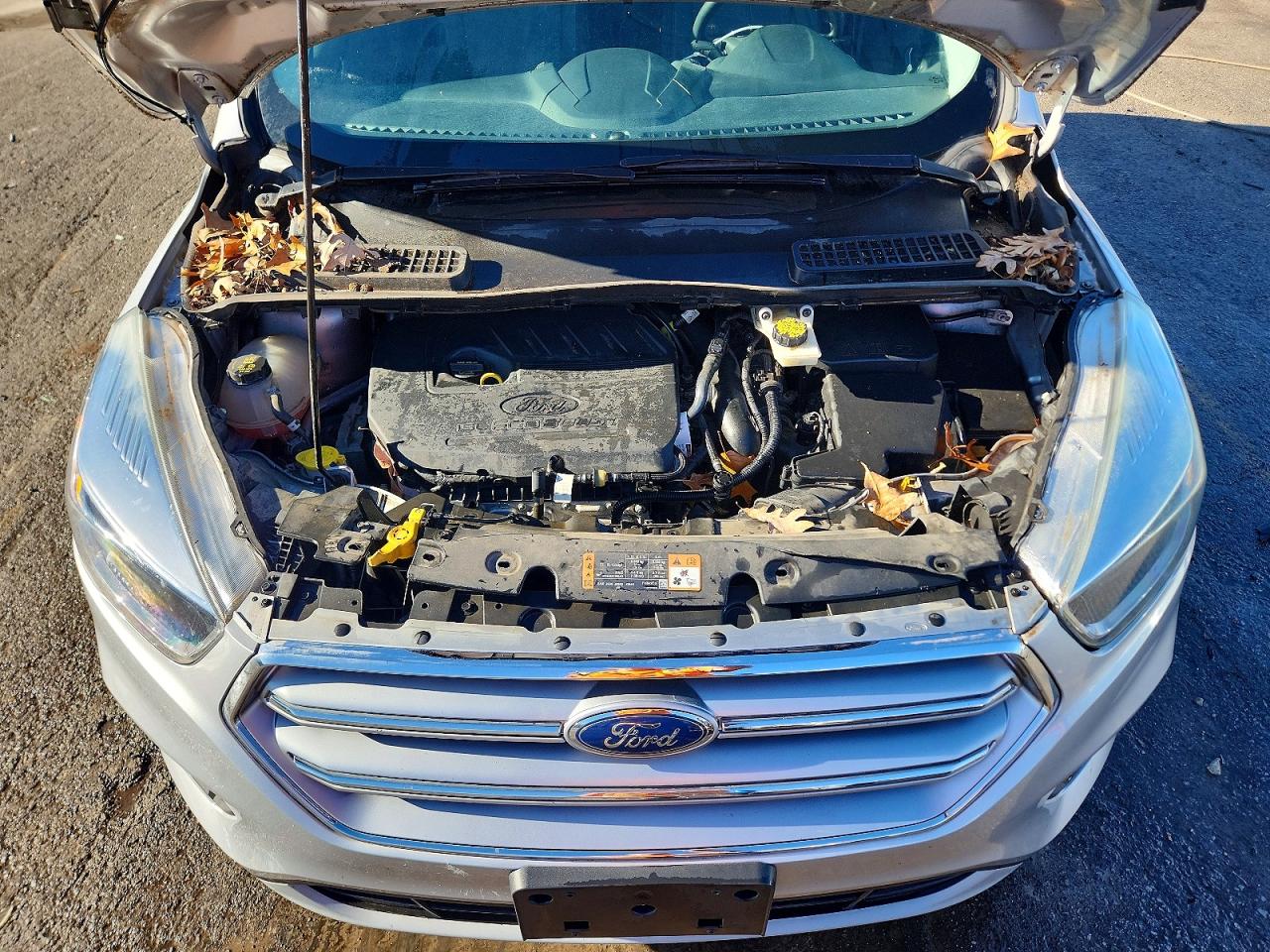 2017 FORD ESCAPE SE photo 12