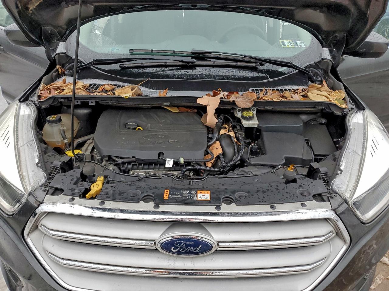 2018 FORD ESCAPE SE photo 12