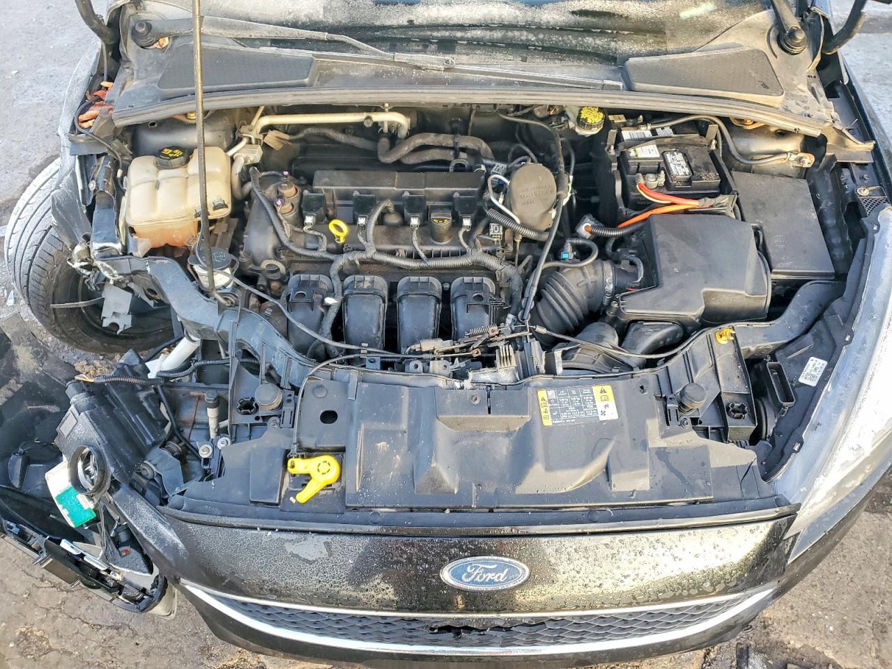2015 FORD FOCUS SE photo 11