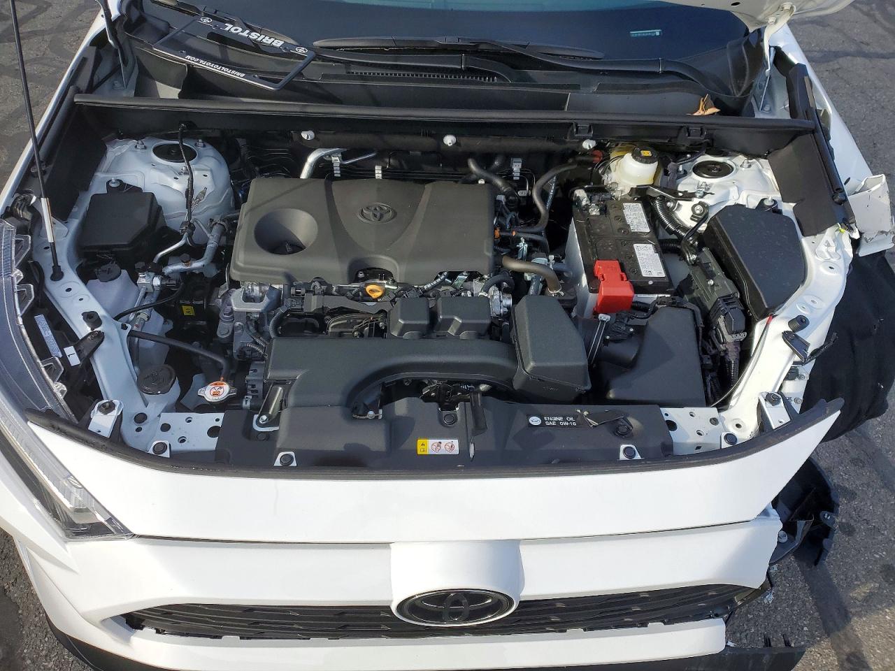 2025 TOYOTA RAV4 XLE photo 12