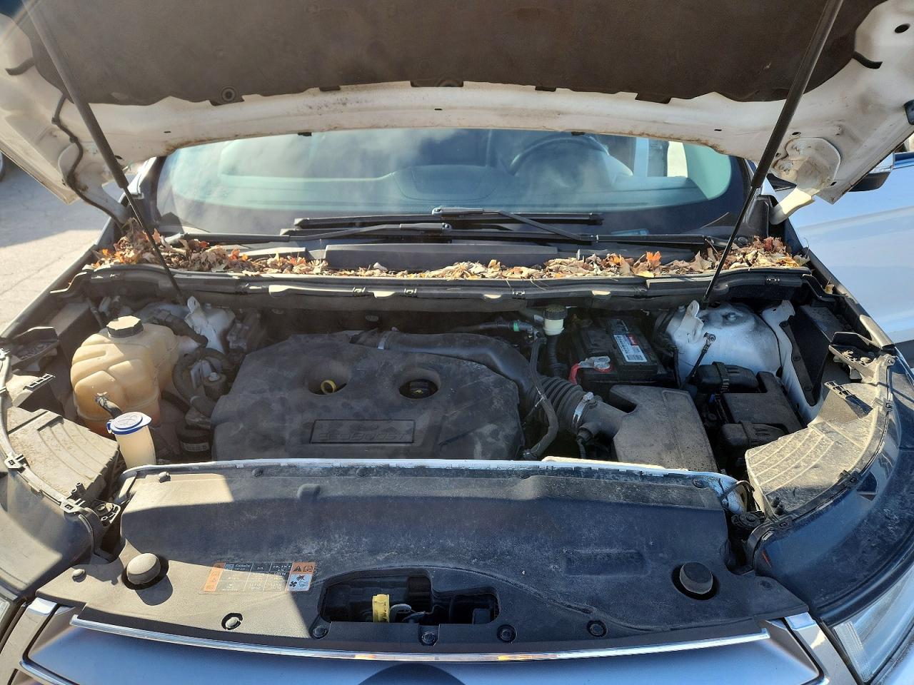 2016 FORD EDGE TITANIUM photo 23
