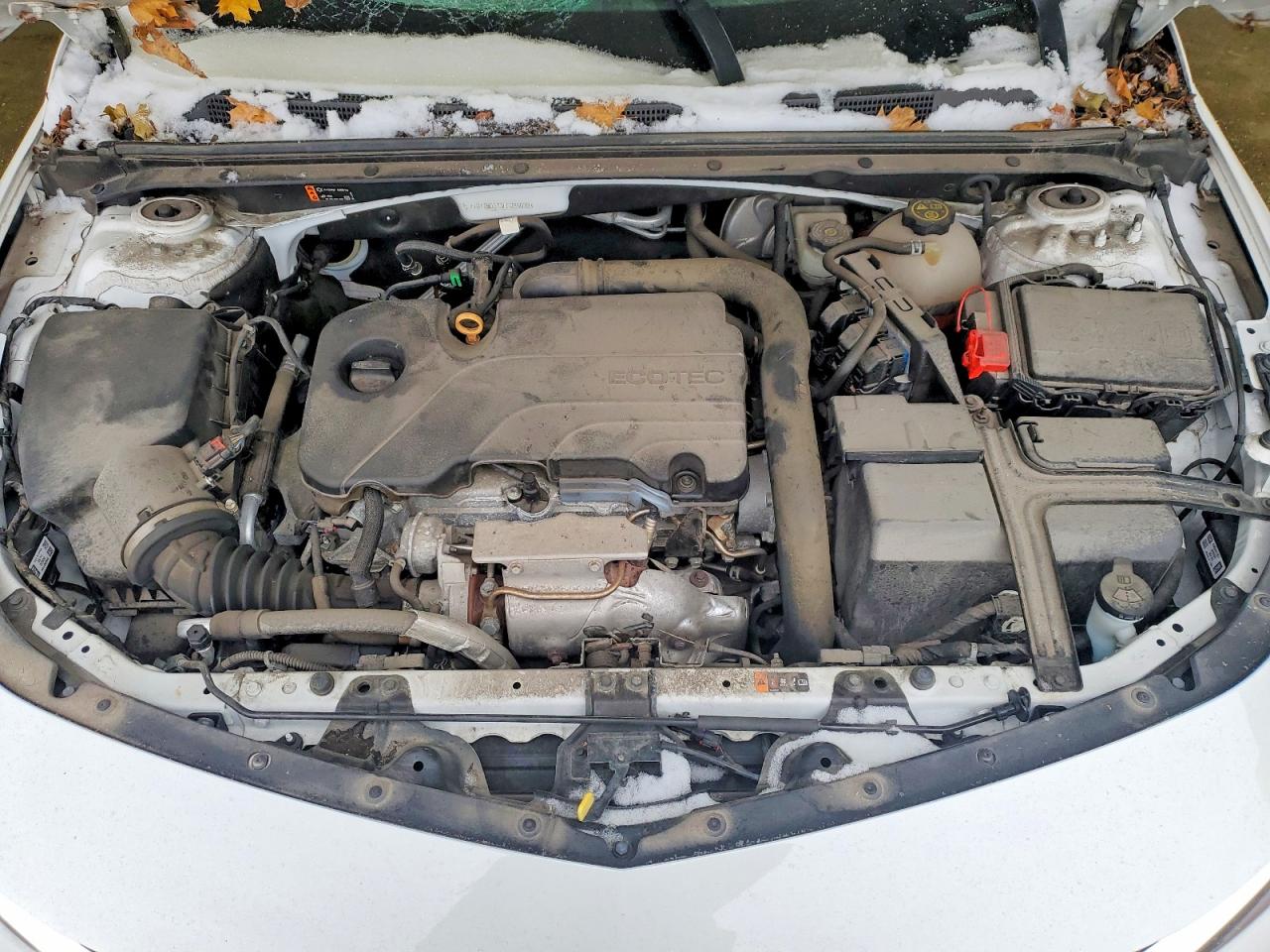2020 CHEVROLET MALIBU LS photo 11