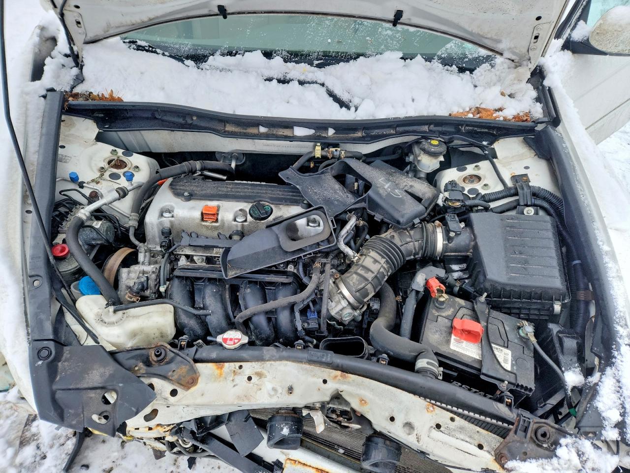 2010 HONDA ACCORD LX photo 11