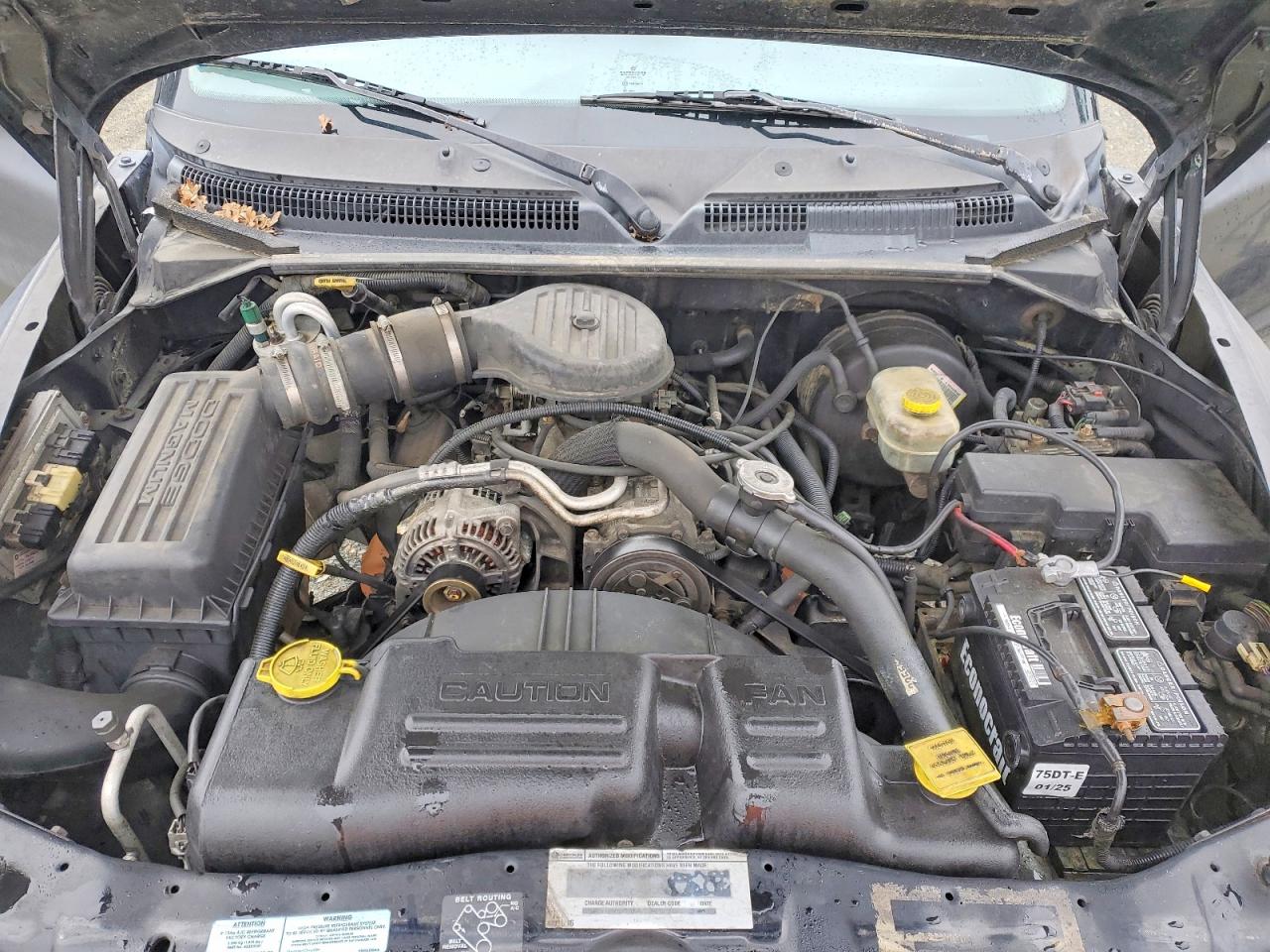 2001 DODGE DAKOTA photo 11