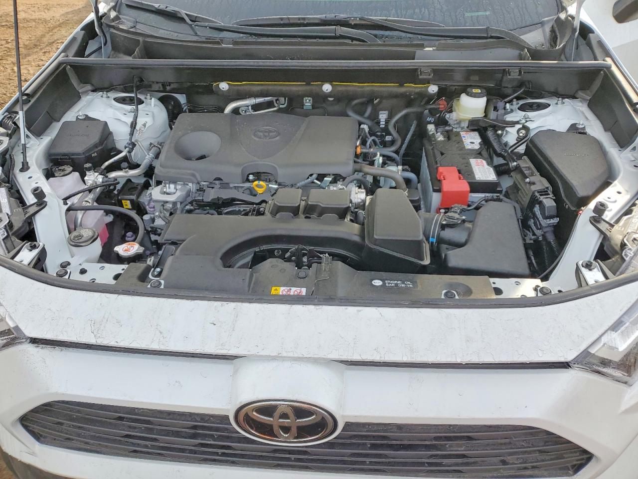 2025 TOYOTA RAV4 XLE PREMIUM photo 12