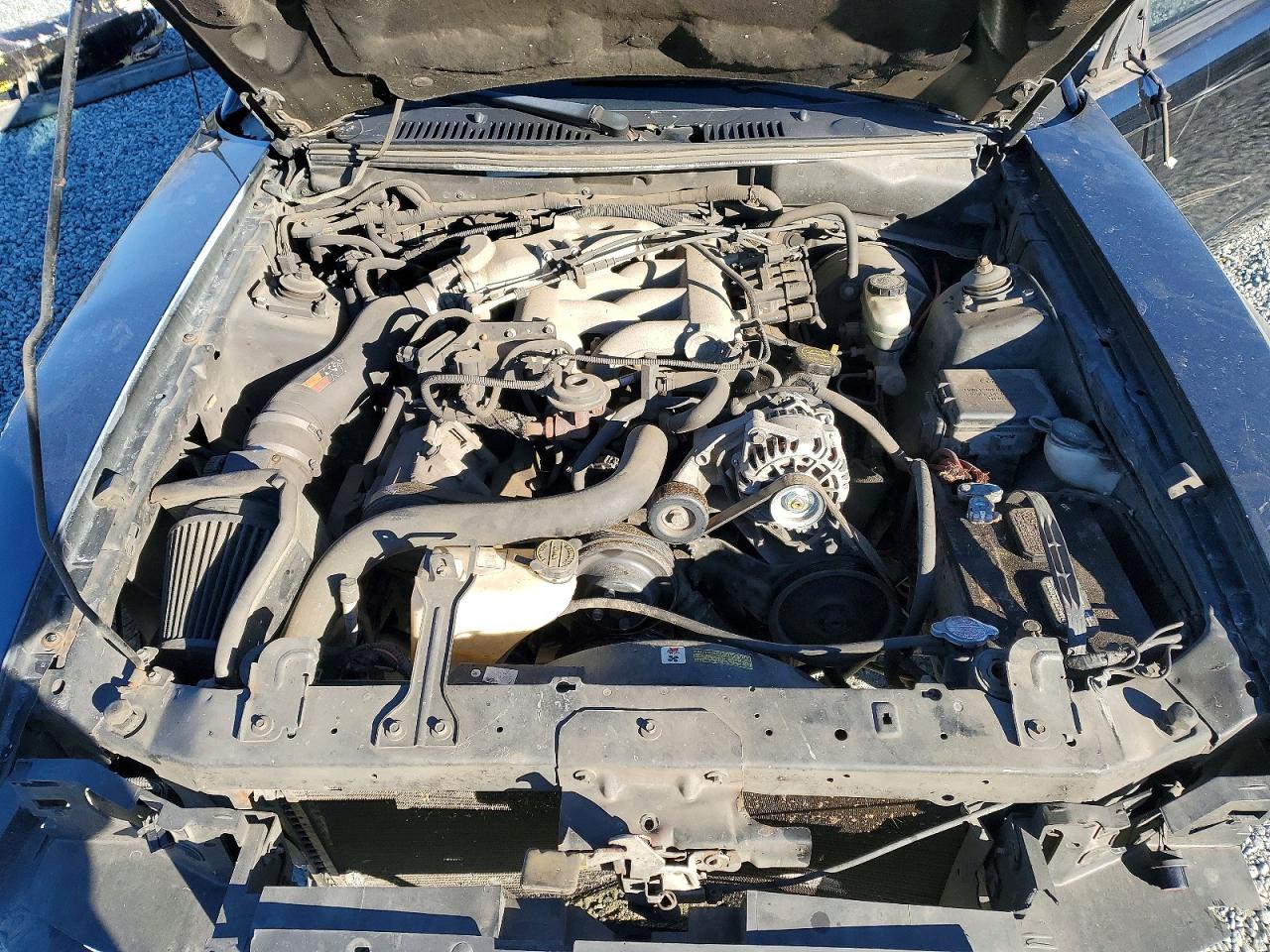 2004 FORD MUSTANG photo 11