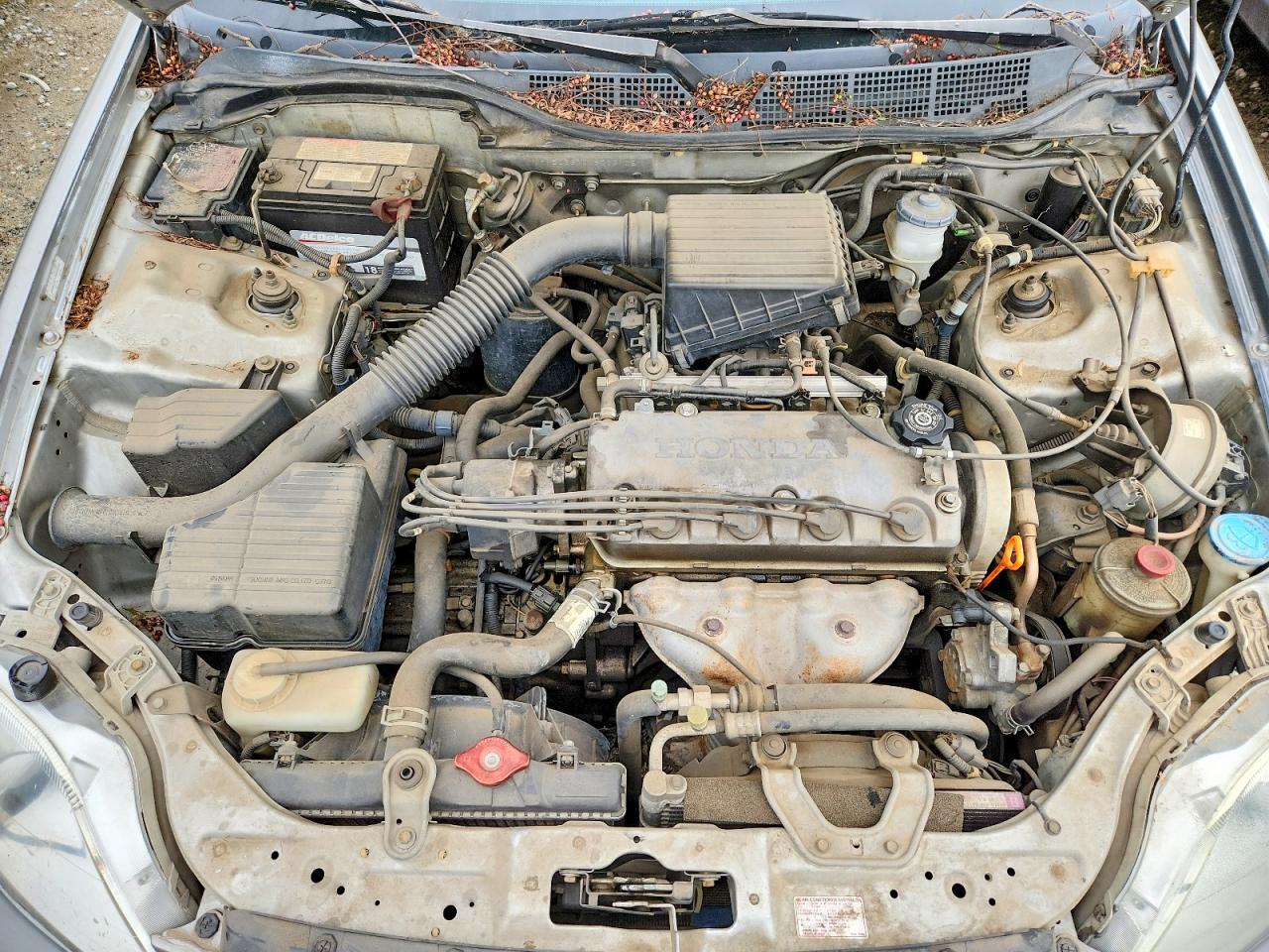 1999 HONDA CIVIC LX photo 11