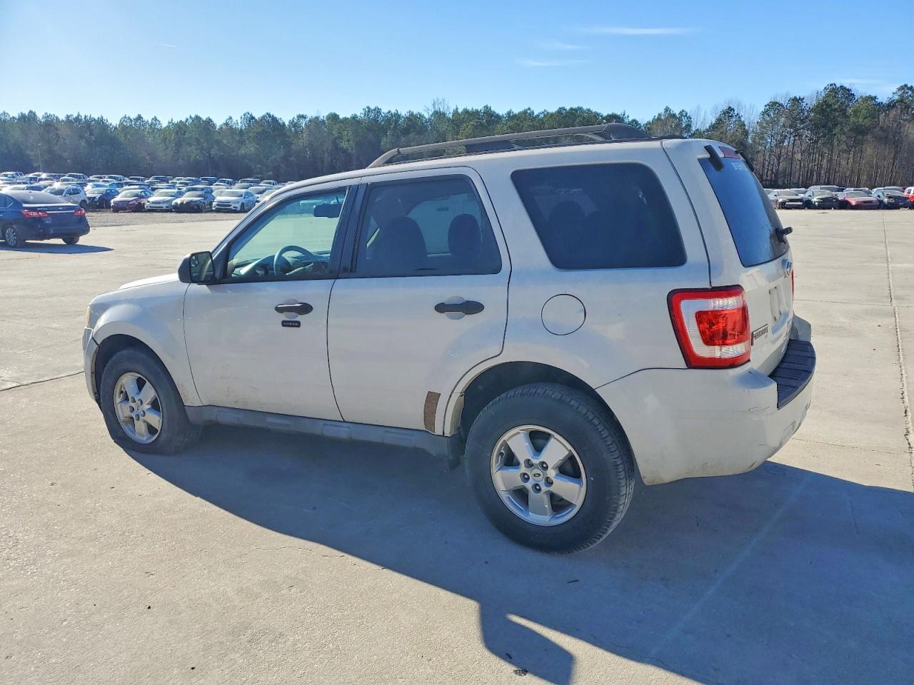 2010 FORD ESCAPE XLT photo 4