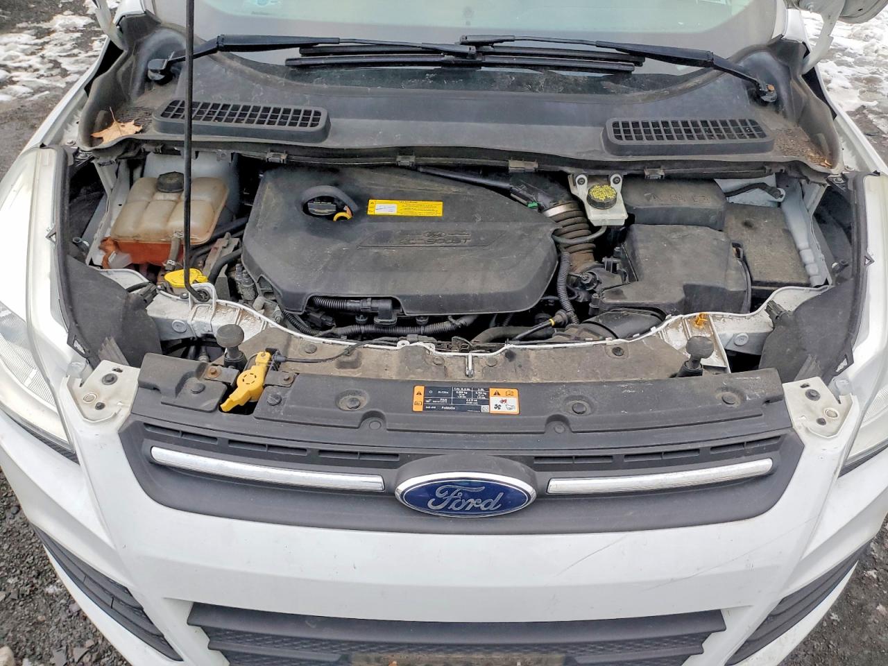 2016 FORD ESCAPE SE photo 12