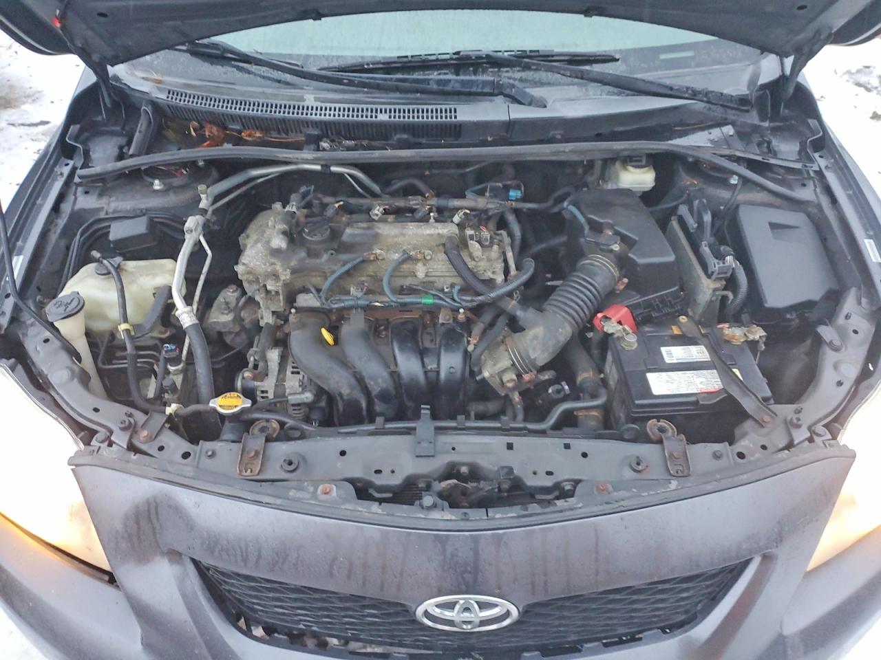 2009 TOYOTA COROLLA BASE photo 11