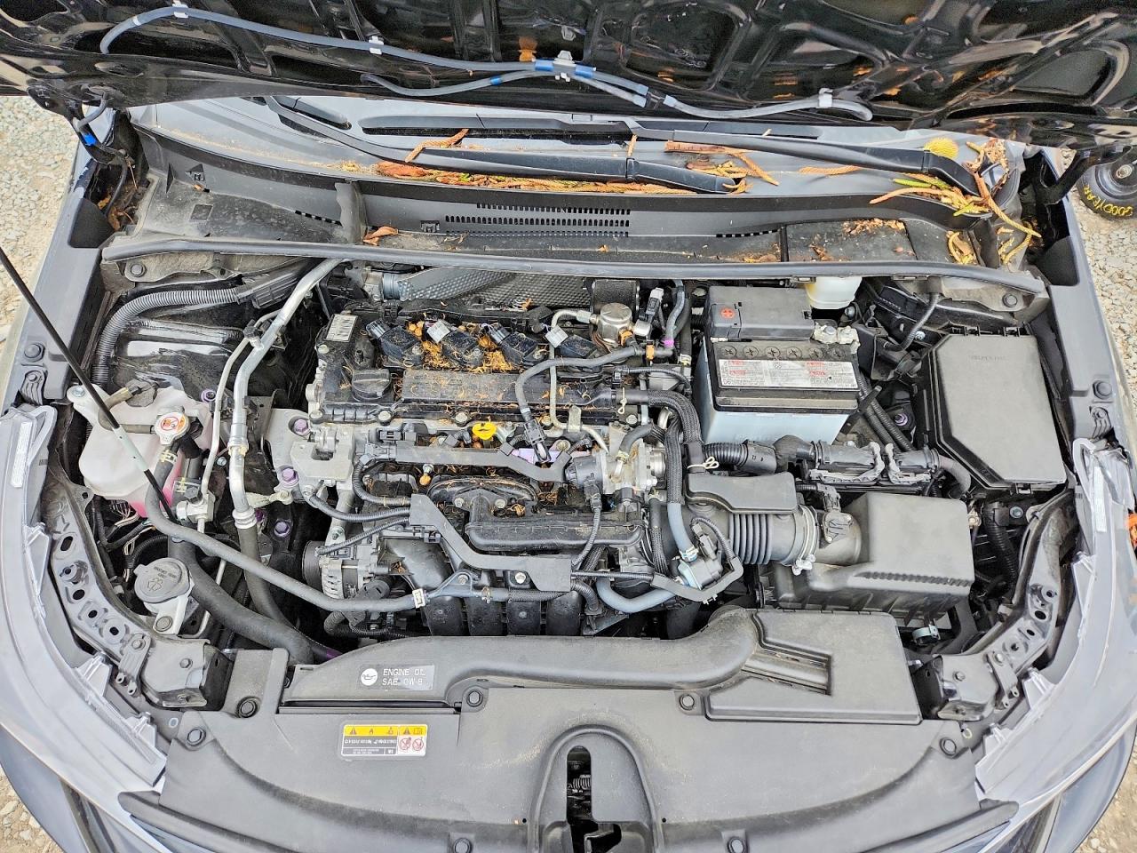 2023 TOYOTA COROLLA LE photo 11