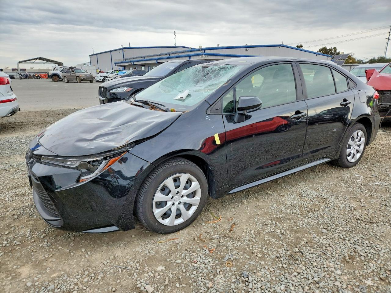 2023 TOYOTA COROLLA