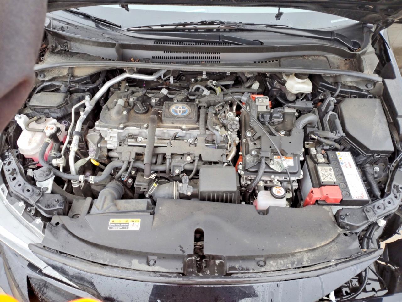 2024 TOYOTA COROLLA LE photo 11