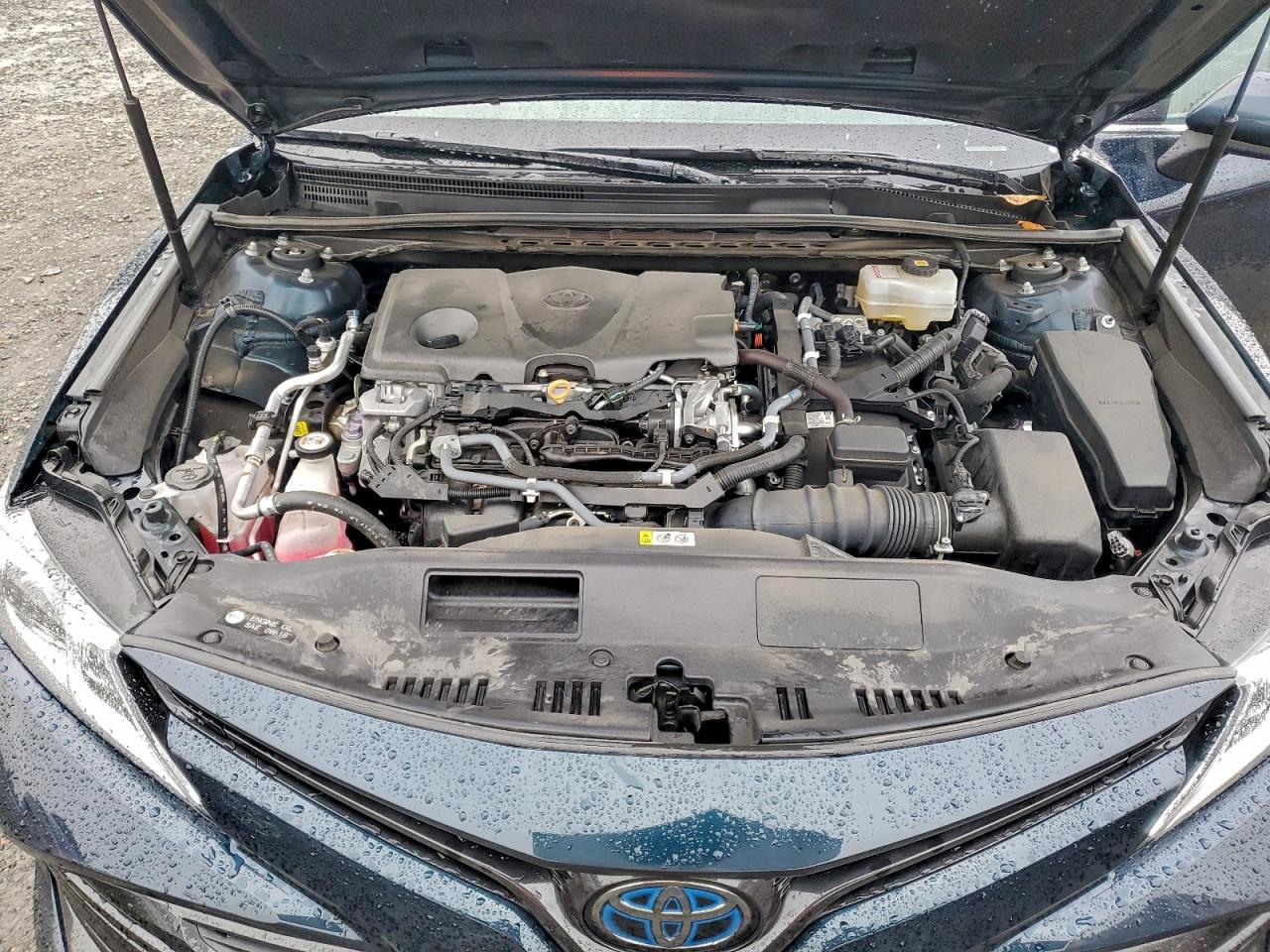 2019 TOYOTA CAMRY LE photo 11