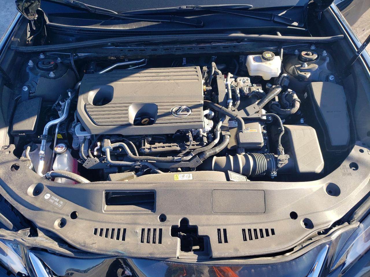 2025 LEXUS ES 300H BASE photo 11
