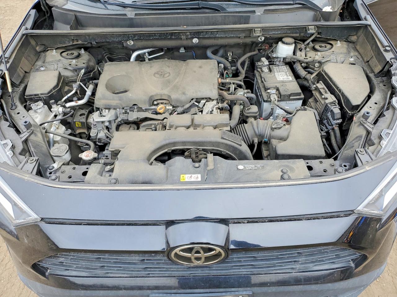 2021 TOYOTA RAV4 XLE photo 12