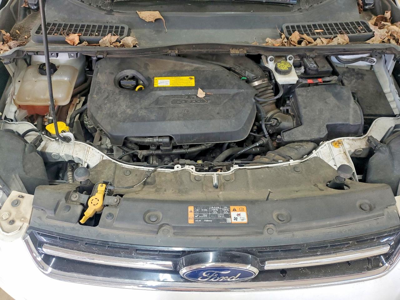 2016 FORD ESCAPE TITANIUM photo 12