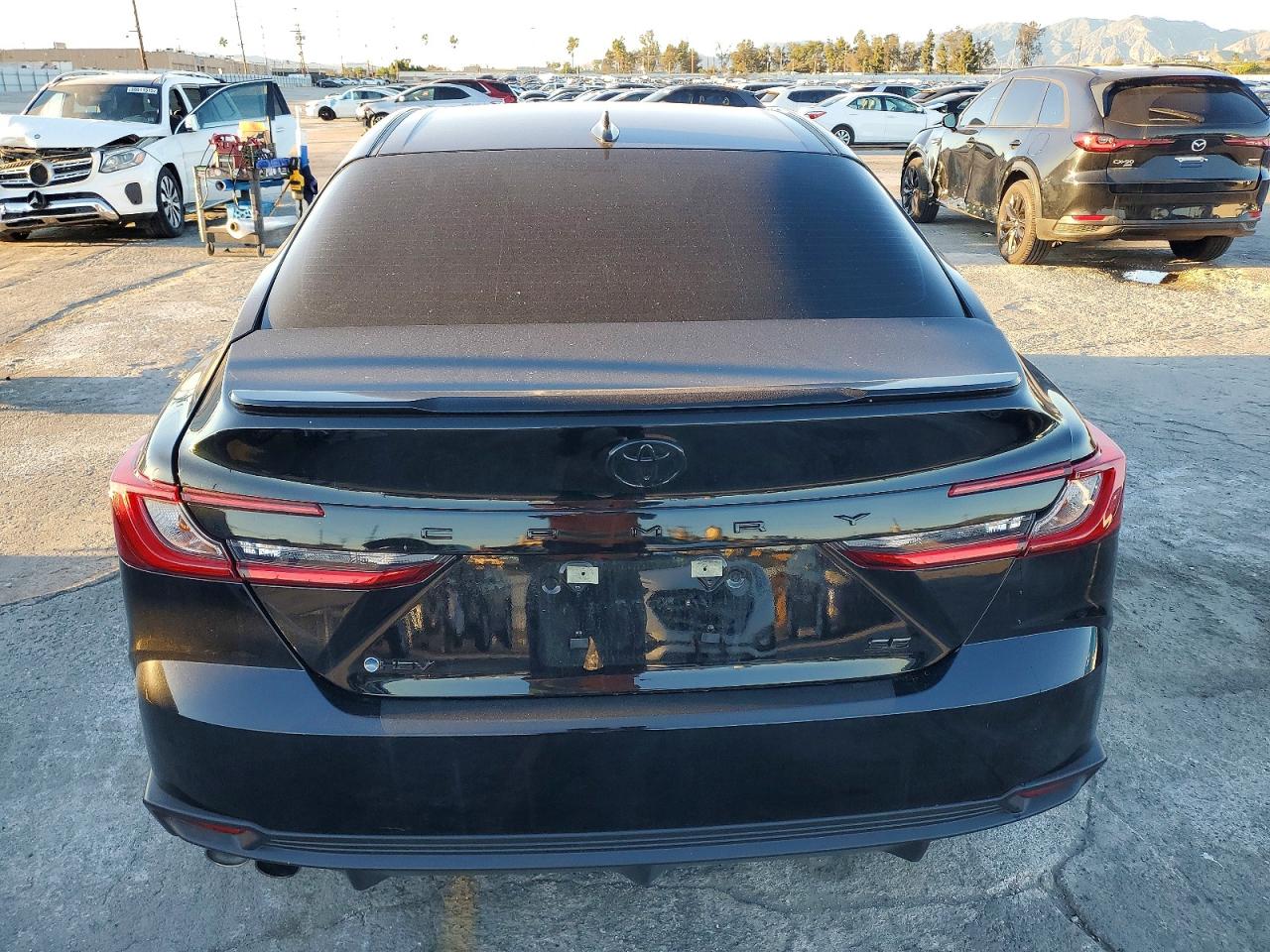 2025 TOYOTA CAMRY XSE photo 6