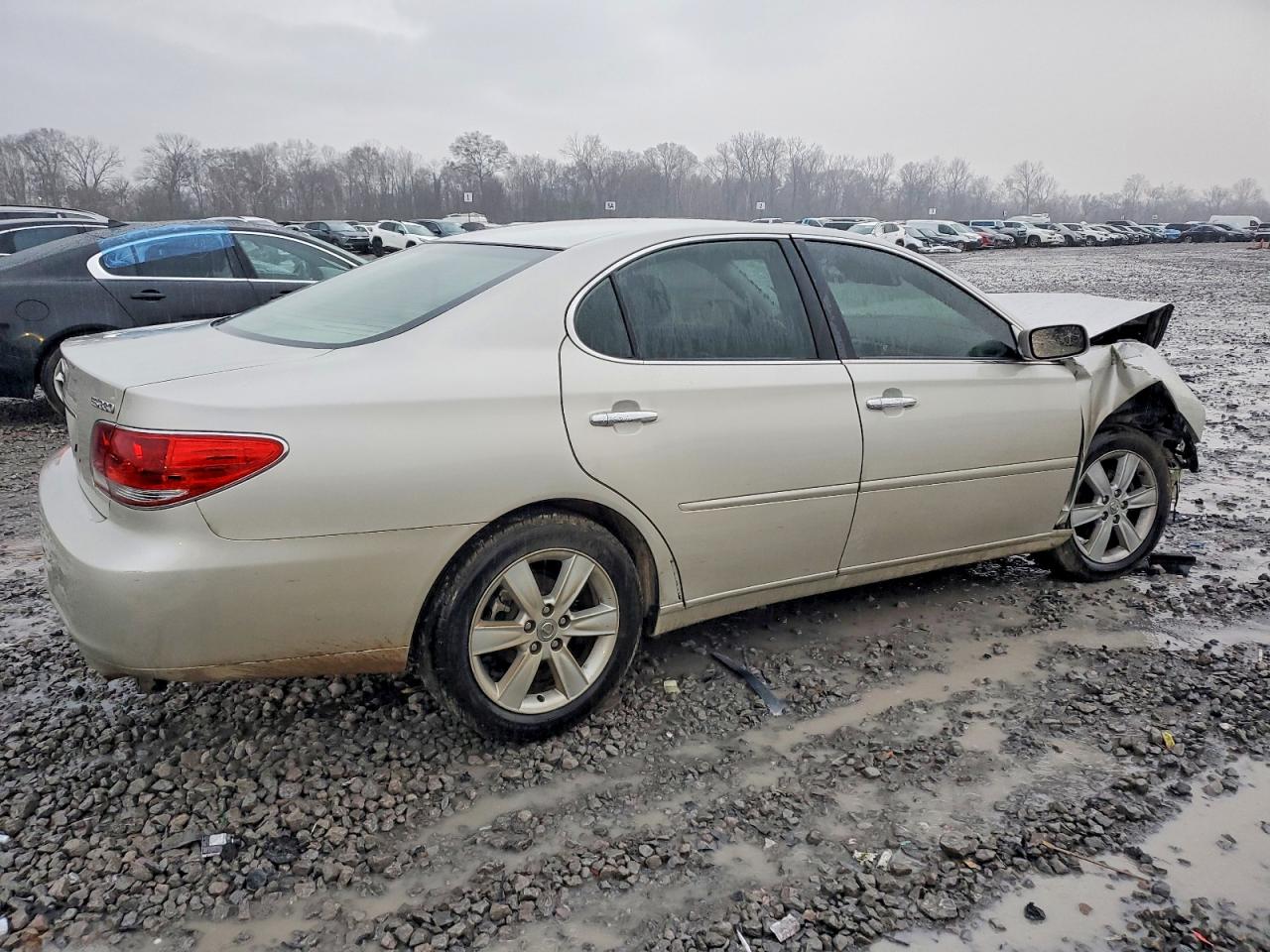 2005 LEXUS ES 330 photo 3