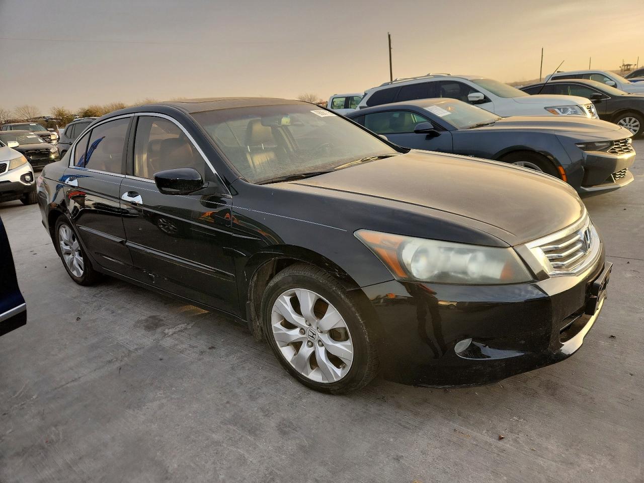 2010 HONDA ACCORD EXL photo 10