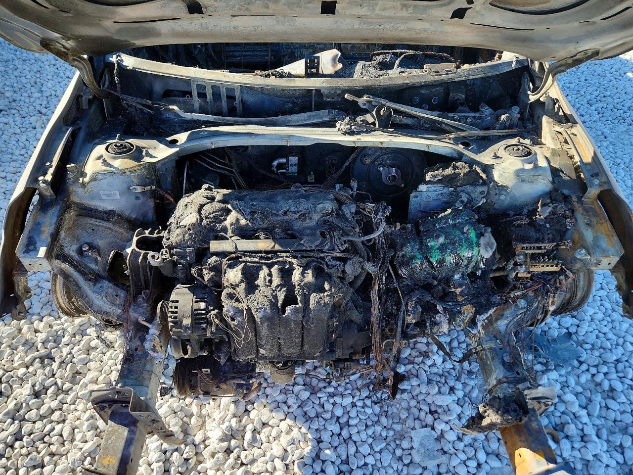 2019 KIA FORTE FE photo 11