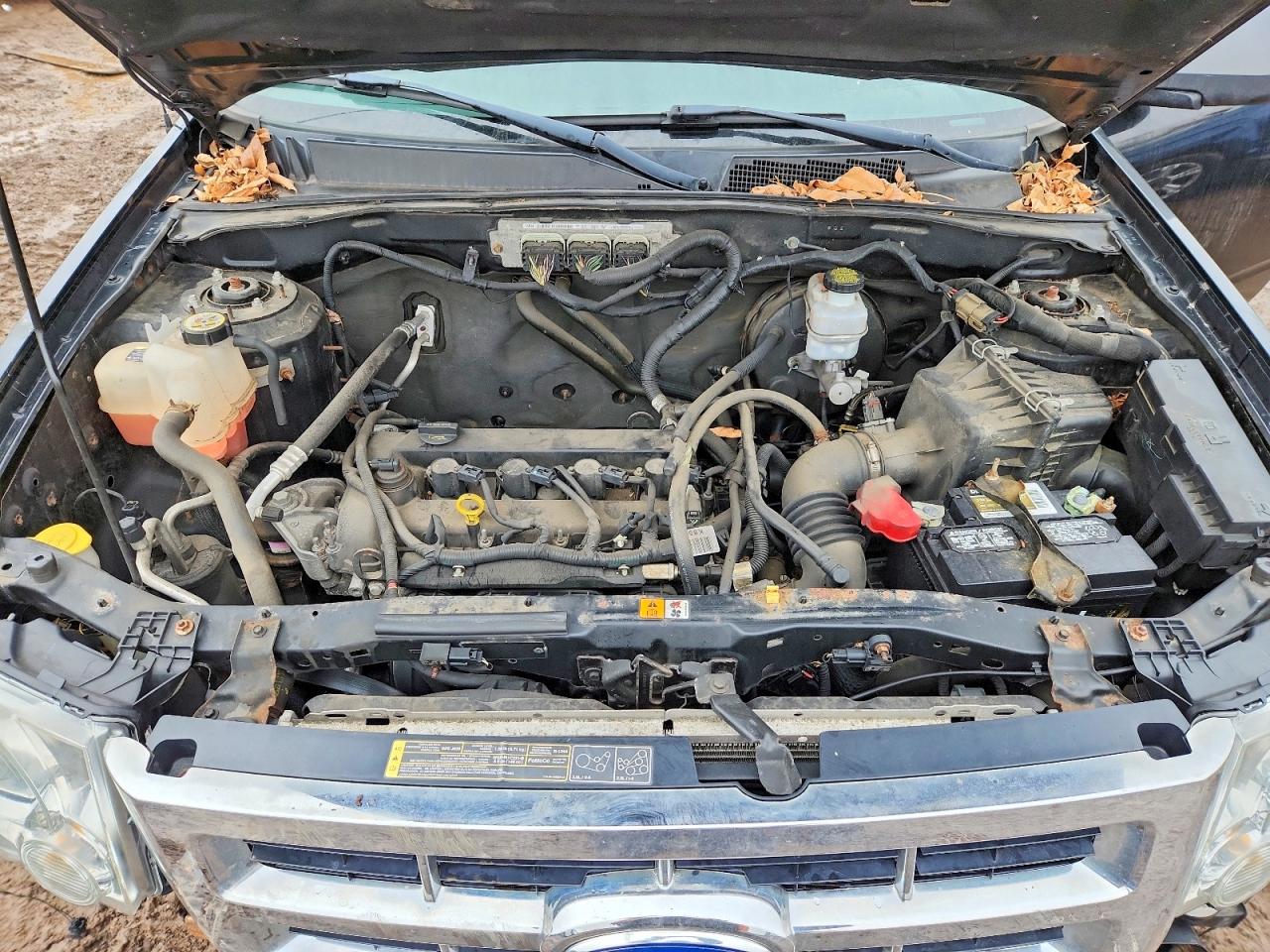 2012 FORD ESCAPE XLT photo 11