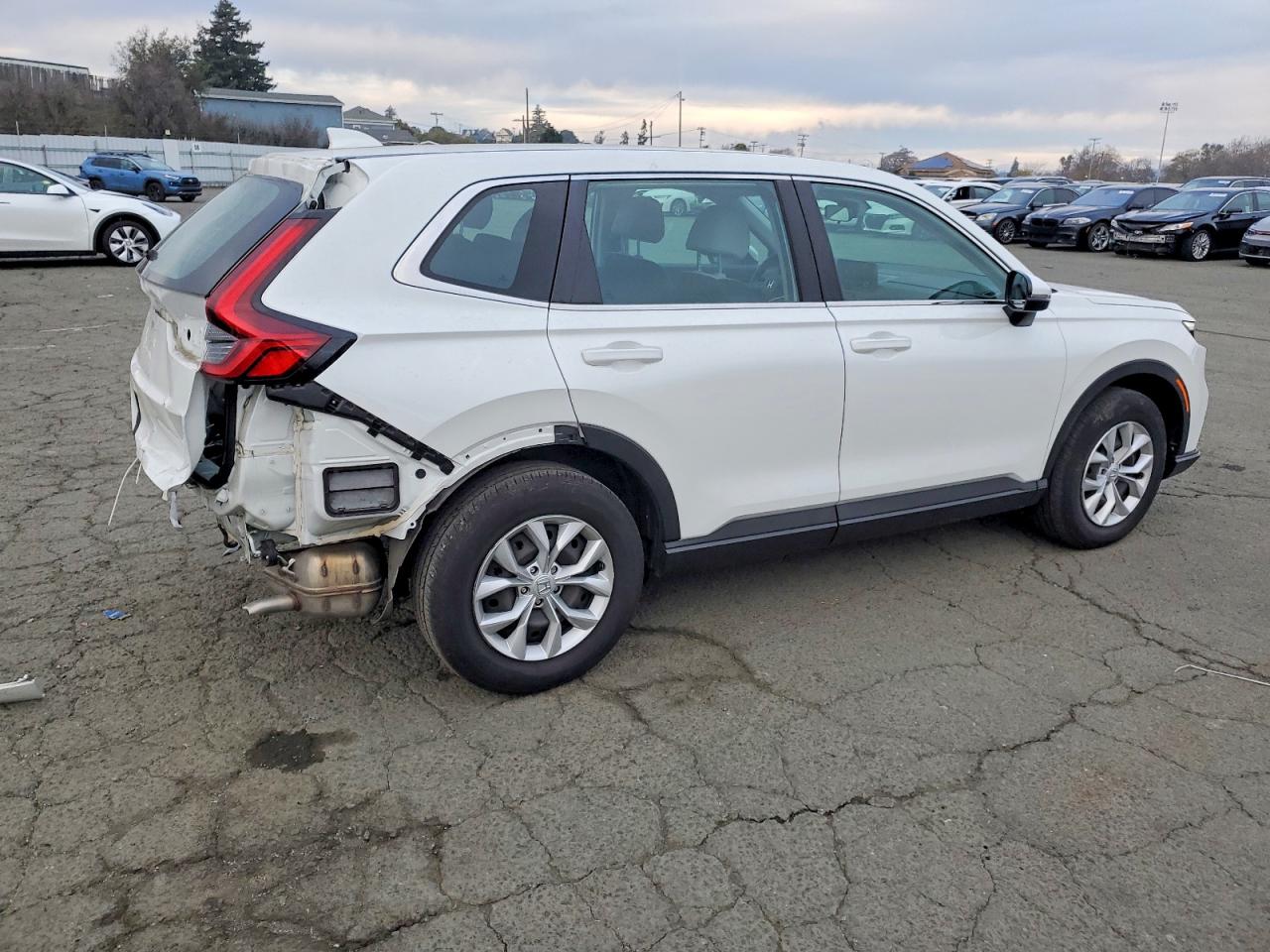 2024 HONDA CR-V LX photo 3