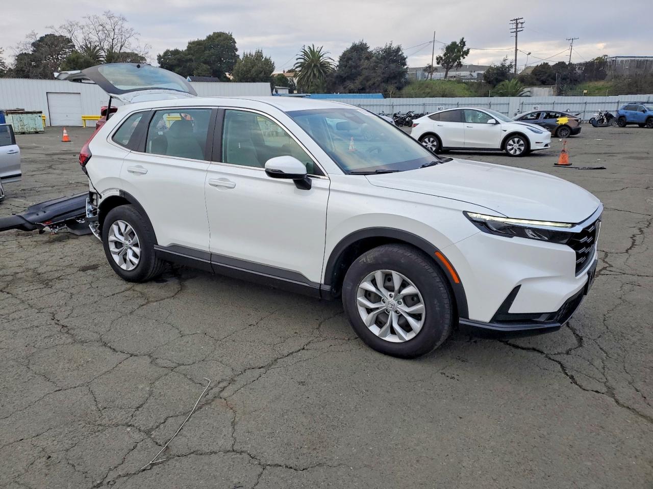 2024 HONDA CR-V LX photo 4