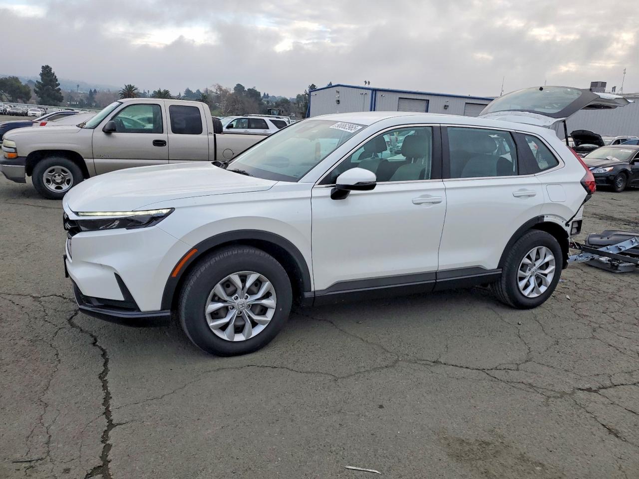 2024 HONDA CR-V
