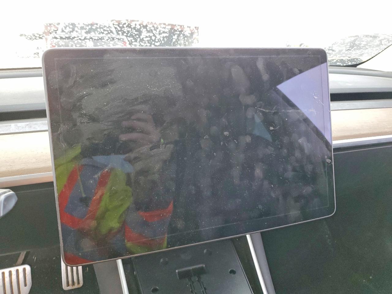 2019 TESLA MODEL 3 photo 17