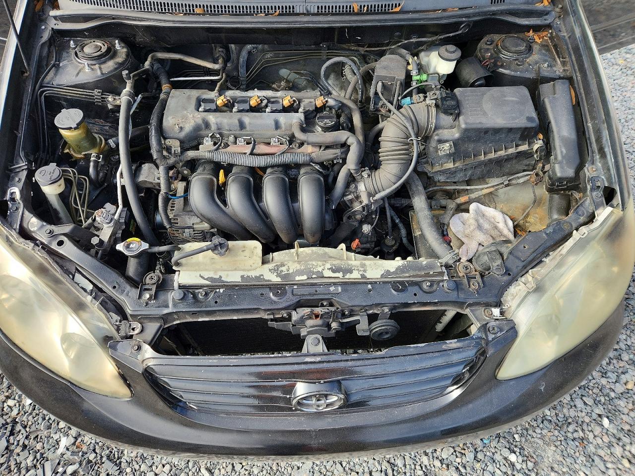 2004 TOYOTA COROLLA CE photo 11