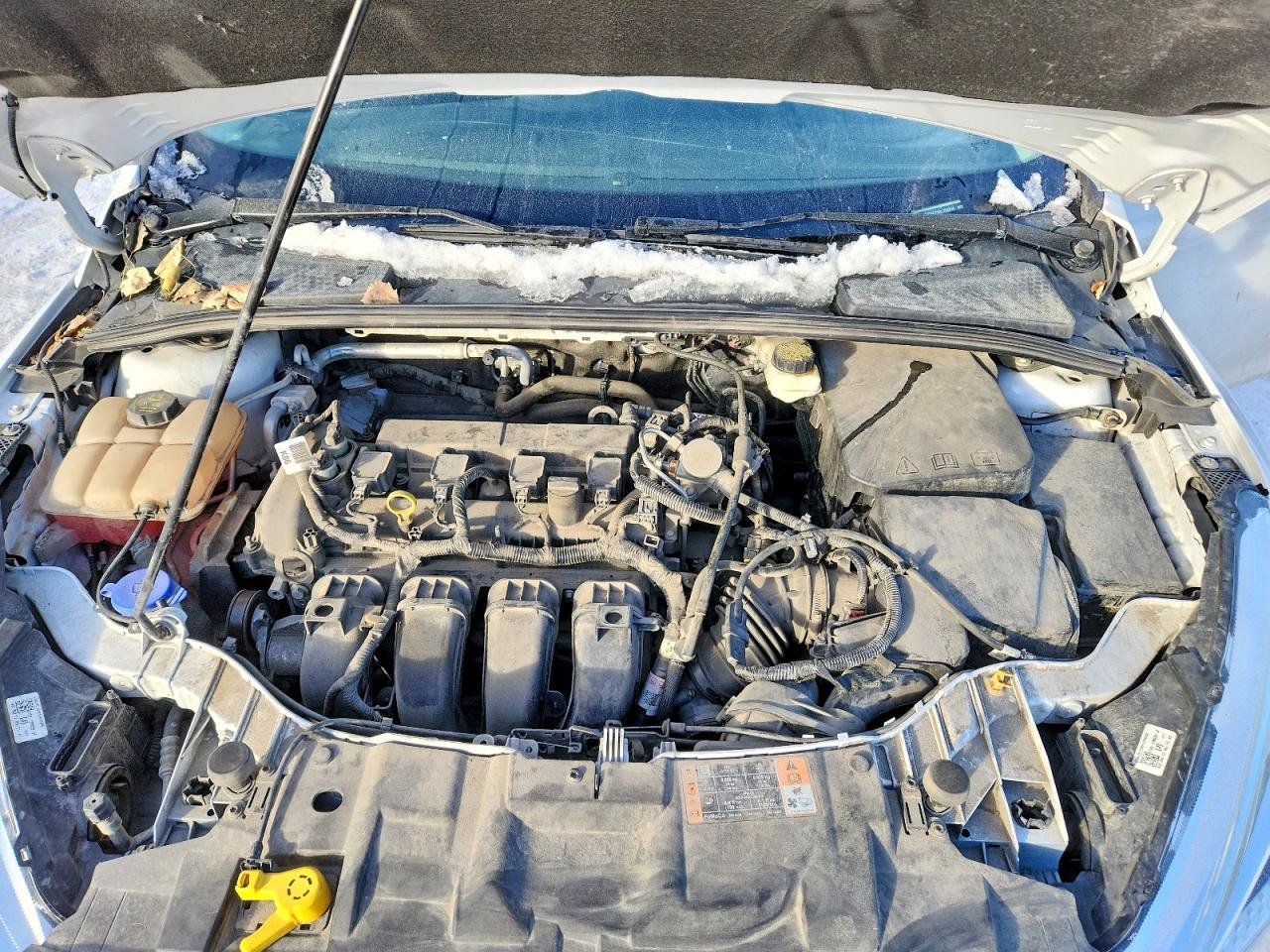2017 FORD FOCUS SE photo 11