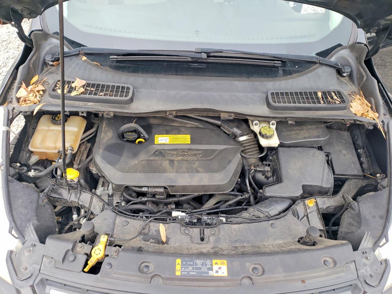 2013 FORD ESCAPE SE photo 34