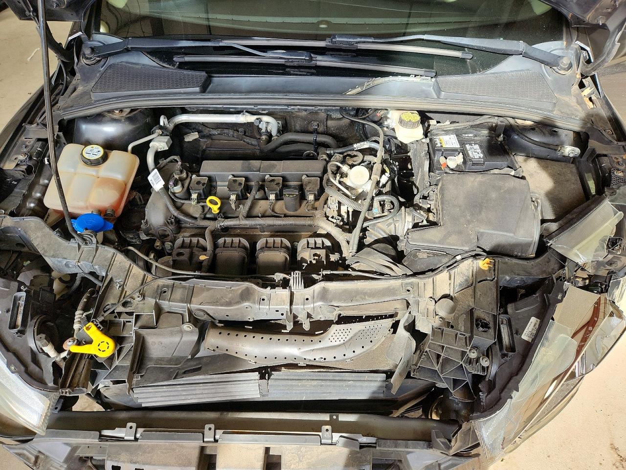 2017 FORD FOCUS SE photo 11