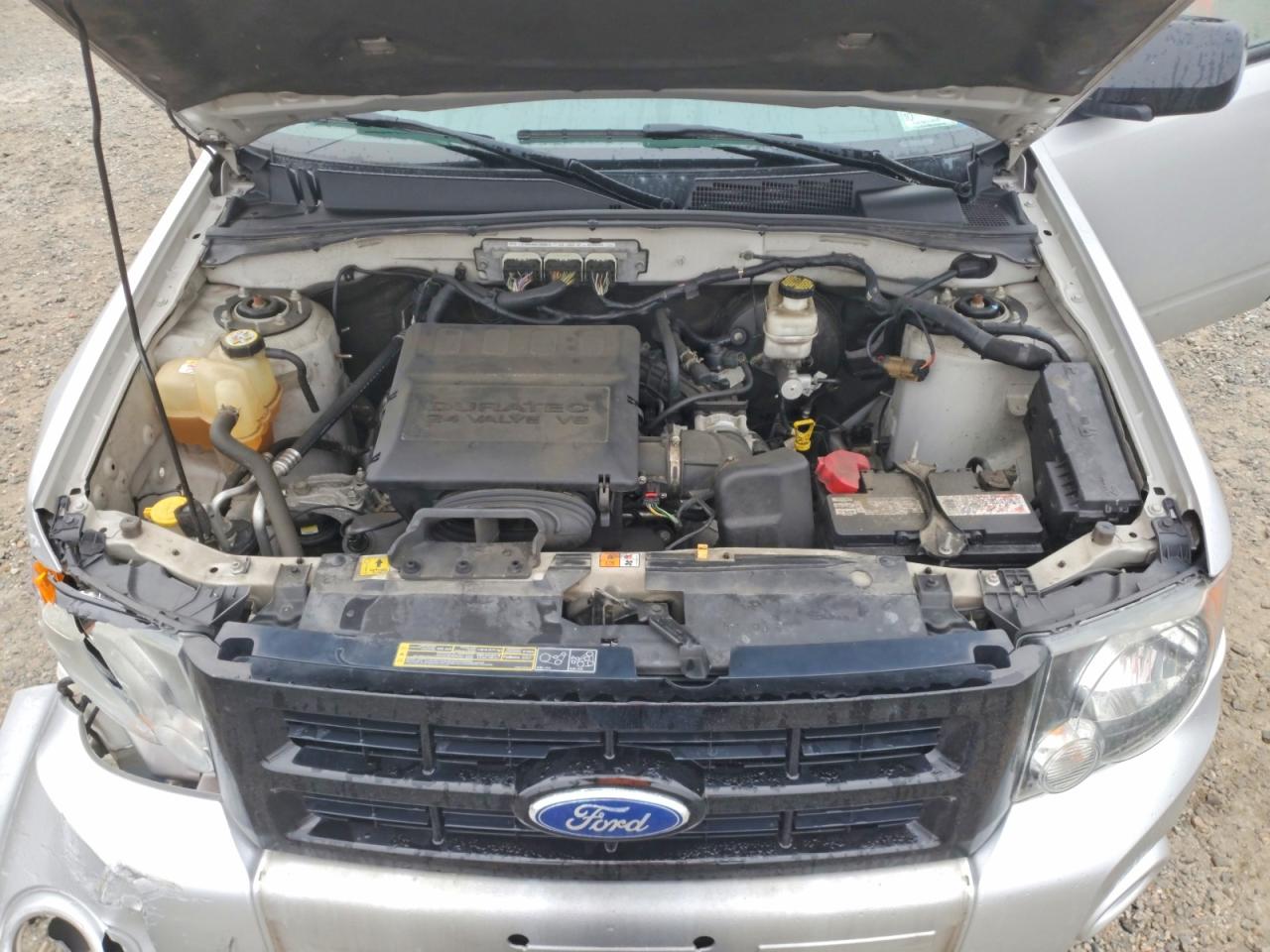 2010 FORD ESCAPE XLT photo 45
