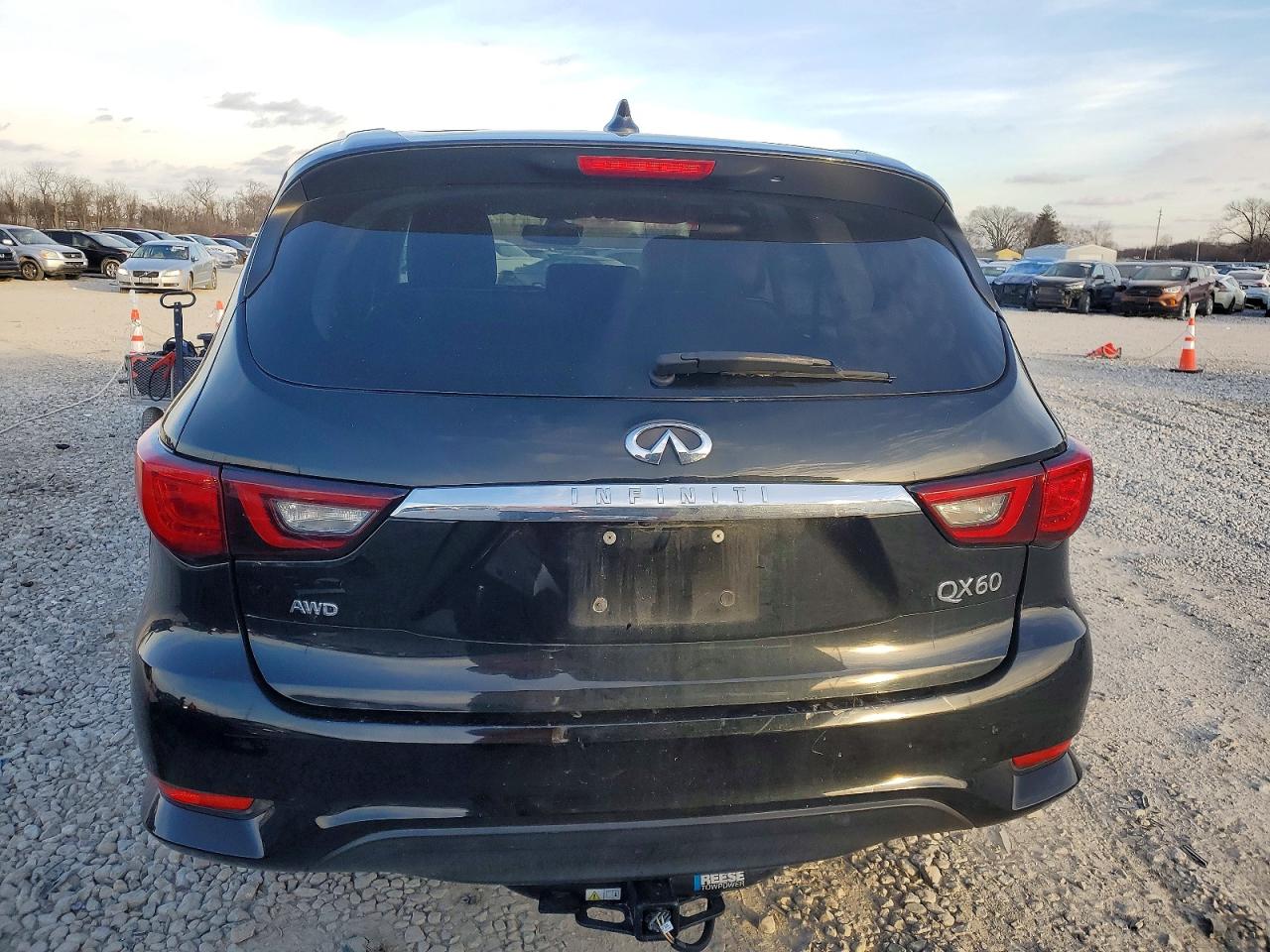 2020 INFINITI QX60 LUXE photo 6