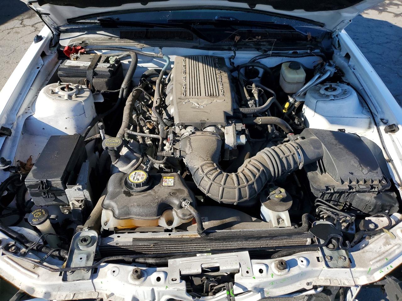 2008 FORD MUSTANG GT photo 11