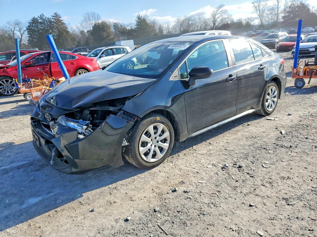 2023 TOYOTA COROLLA