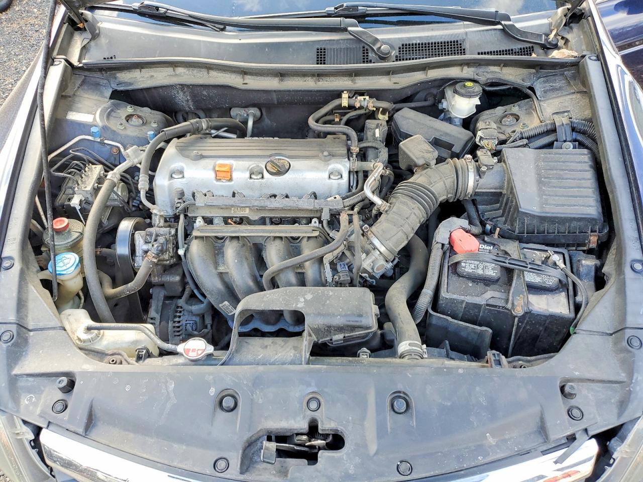 2011 HONDA ACCORD LXP photo 11