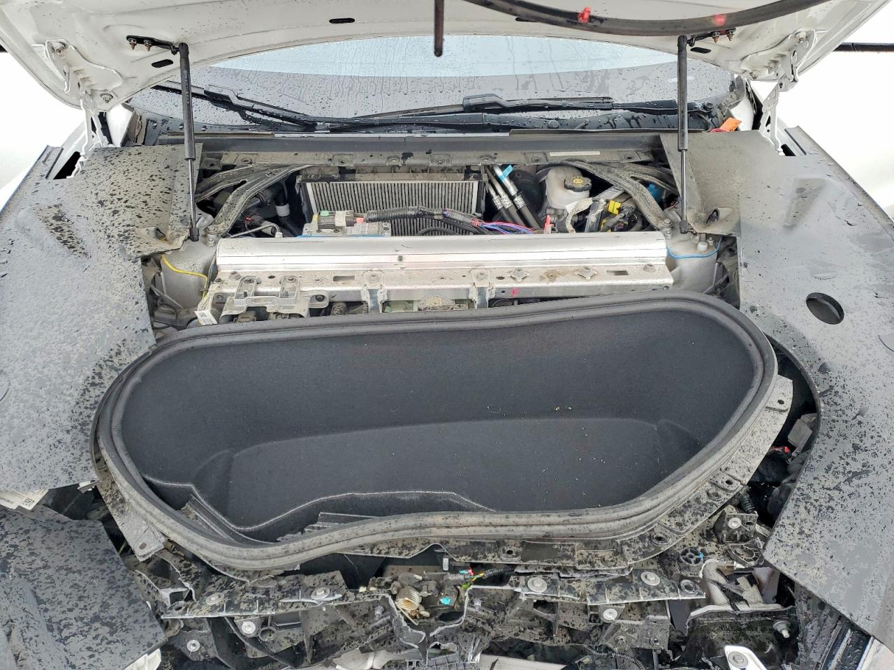 2022 TESLA MODEL S photo 11