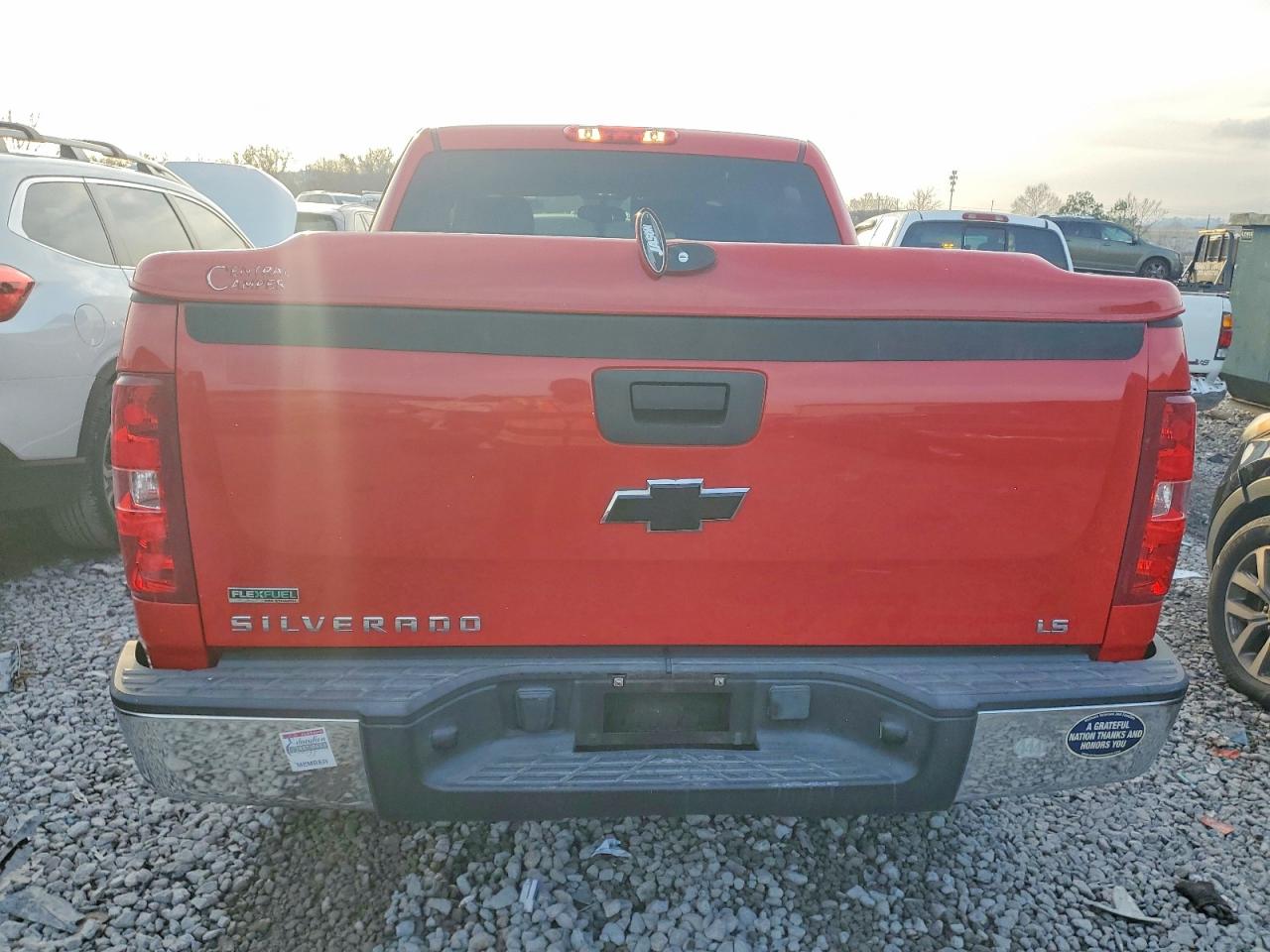 2010 CHEVROLET SILVERADO C1500 LS photo 6