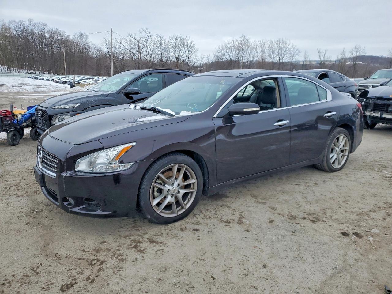 2011 NISSAN MAXIMA