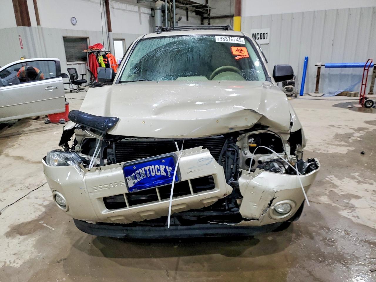 2012 FORD ESCAPE XLT photo 5