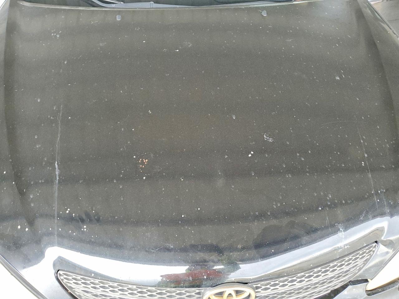 2004 TOYOTA CAMRY LE photo 11