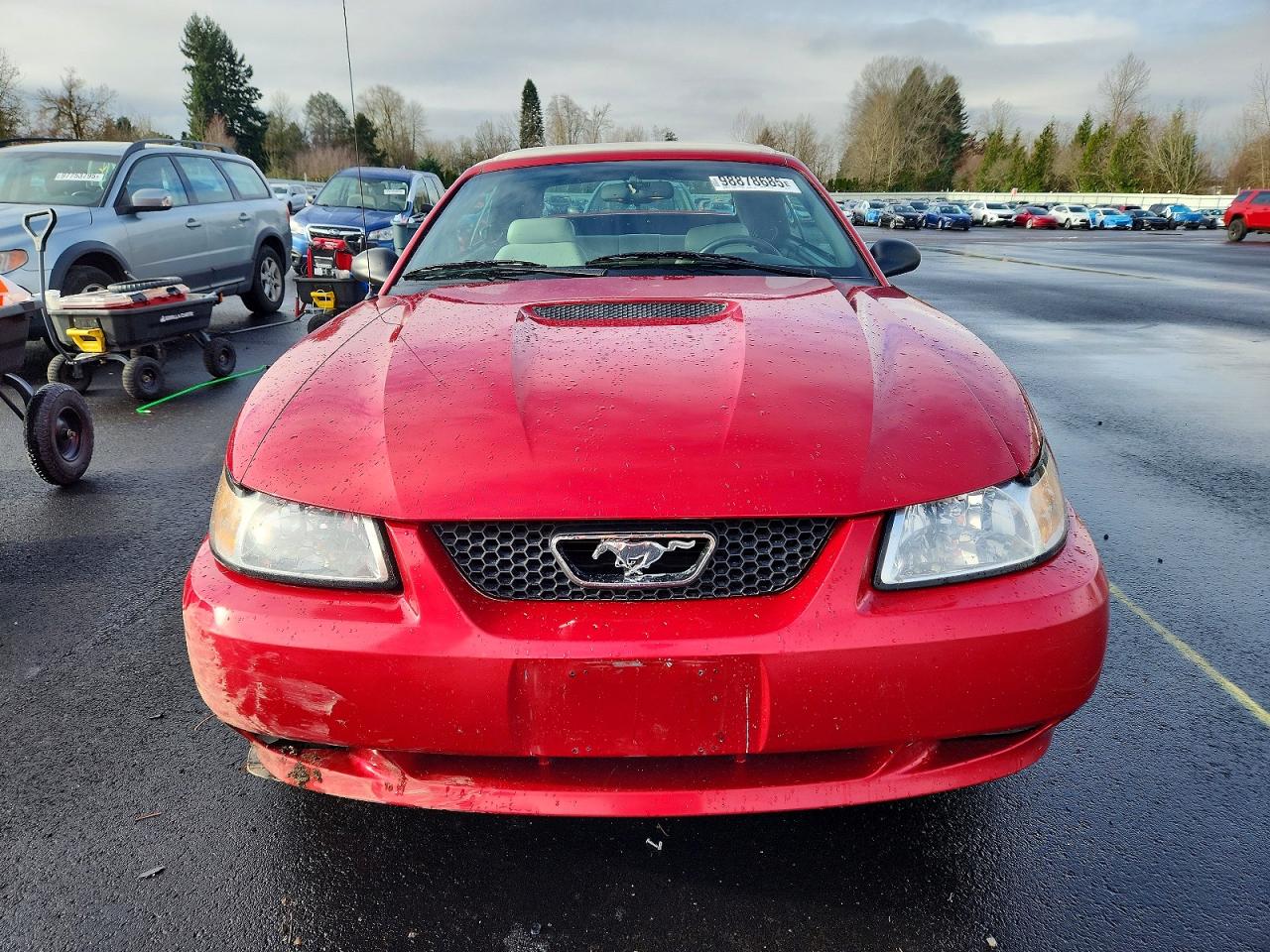 2000 FORD MUSTANG GT photo 5